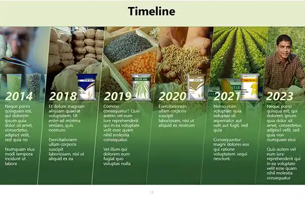 Sample of a Timeline slide in a business presentation.