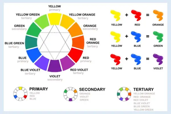 Learn about the Color Wheel and primary, secondary and tertiary colors.